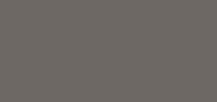PANTONE WARM GRAY